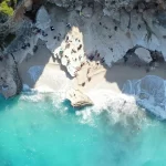 Essence of Sardinia